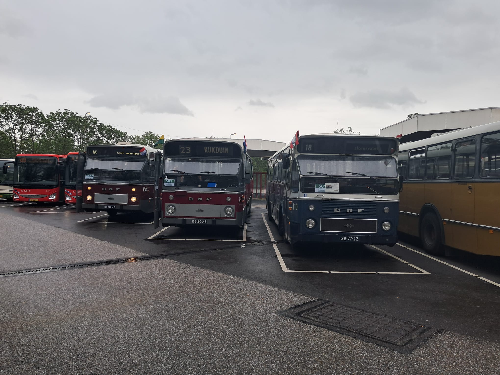 Historische DAF standaardstadsbussen opgesteld in Rotterdam