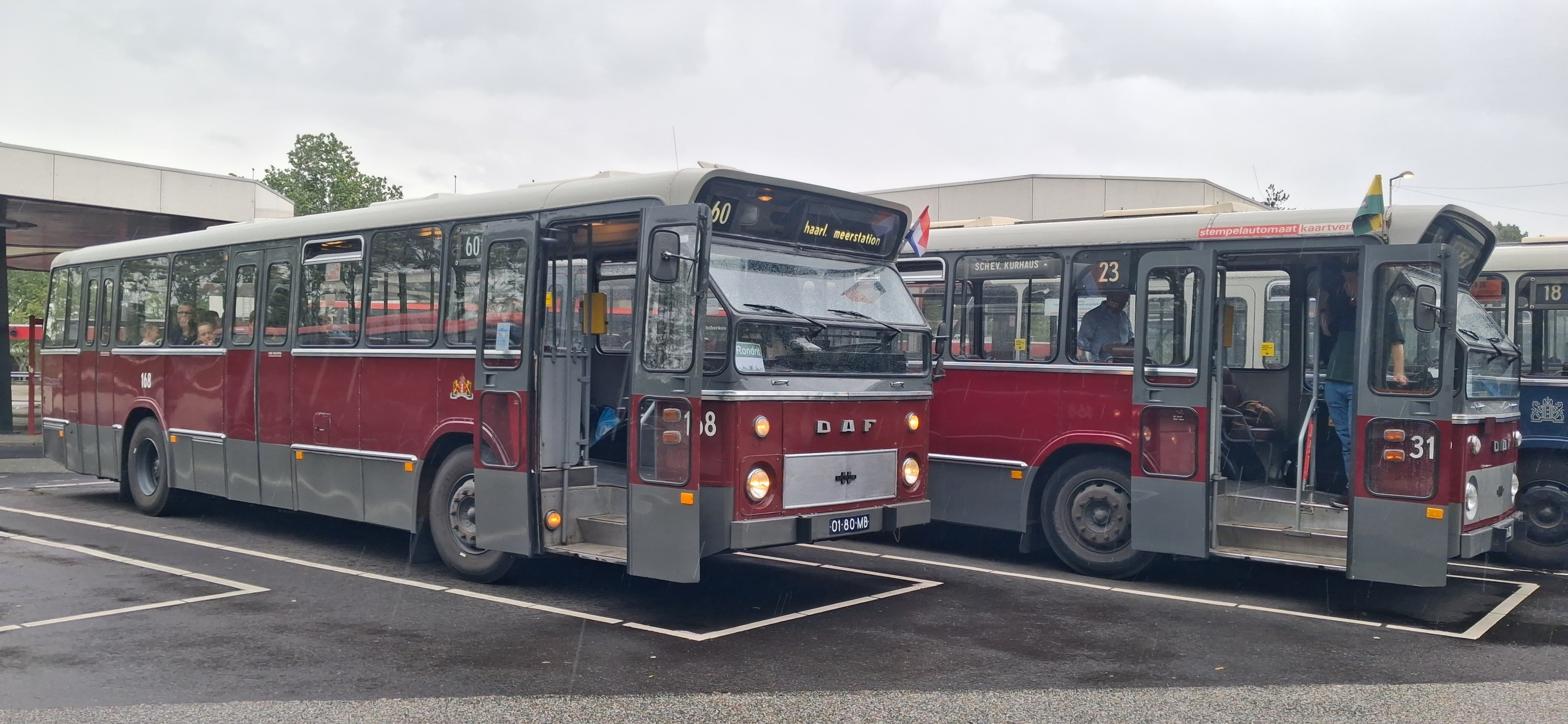 Historische standaardstadsbussen opgesteld op het terrein